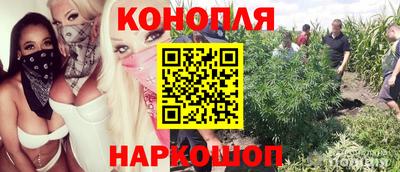 бошки Моздок