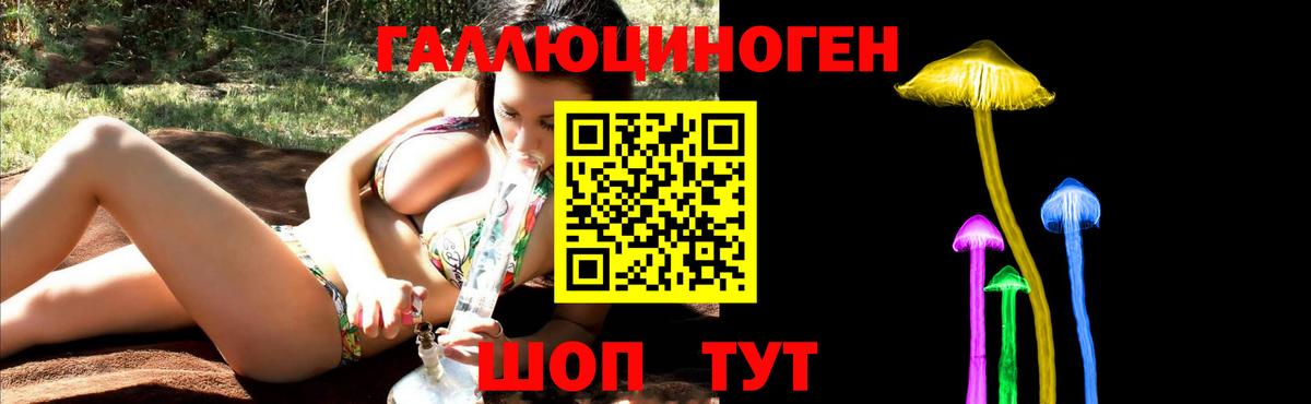 Псилоцибиновые грибы прущие грибы Калининград