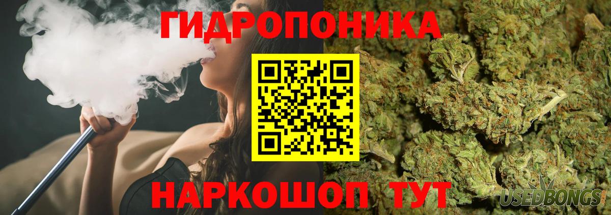 Бошки Шишки конопля Калининград